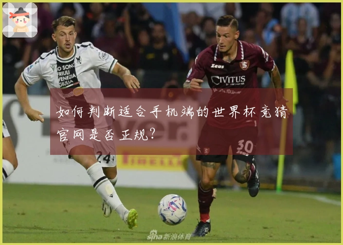 如何判断适合手机端的世界杯竞猜官网是否正规？